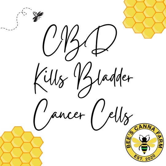 CBD Kills Bladder Cancer Cells
