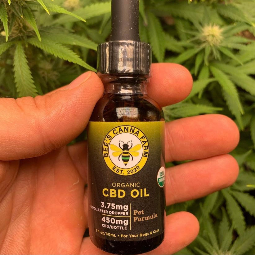 What exactly does CBD do for our cats and dogs?