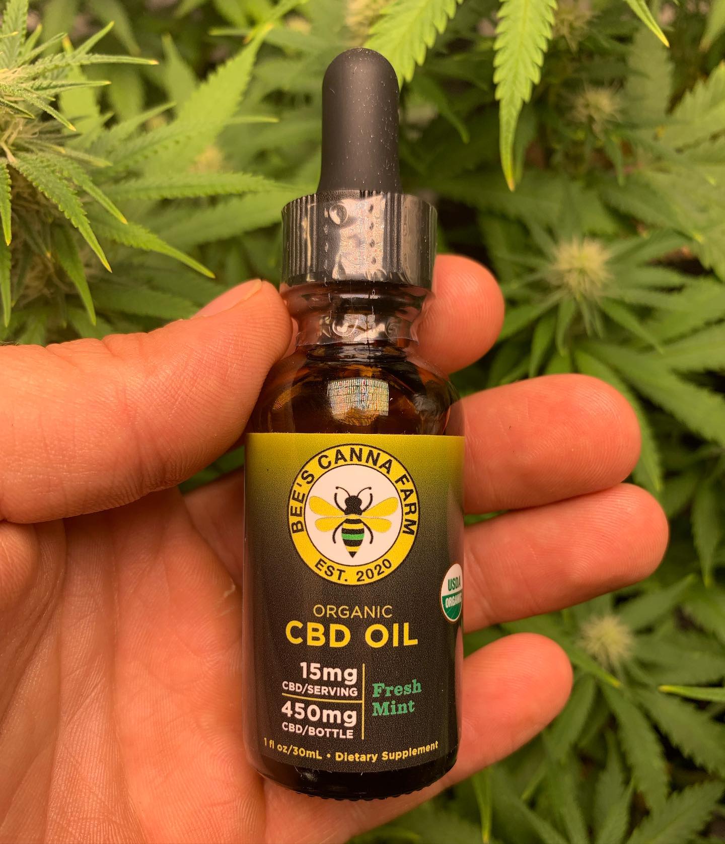 Using CBD to Reduce Anxiety