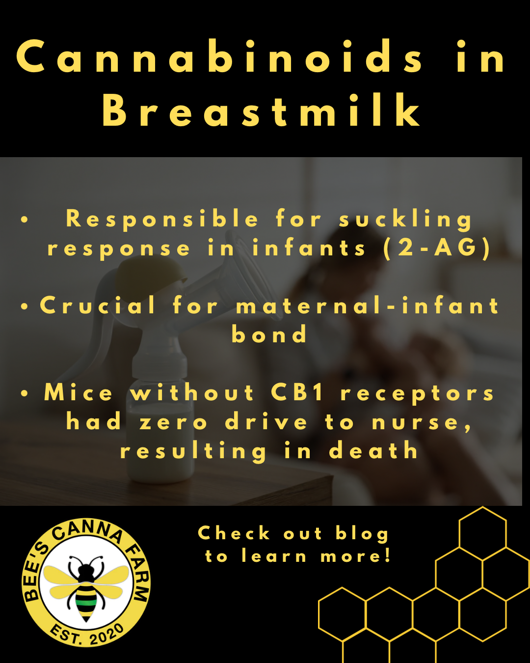 Cannabinoids in Breastmilk