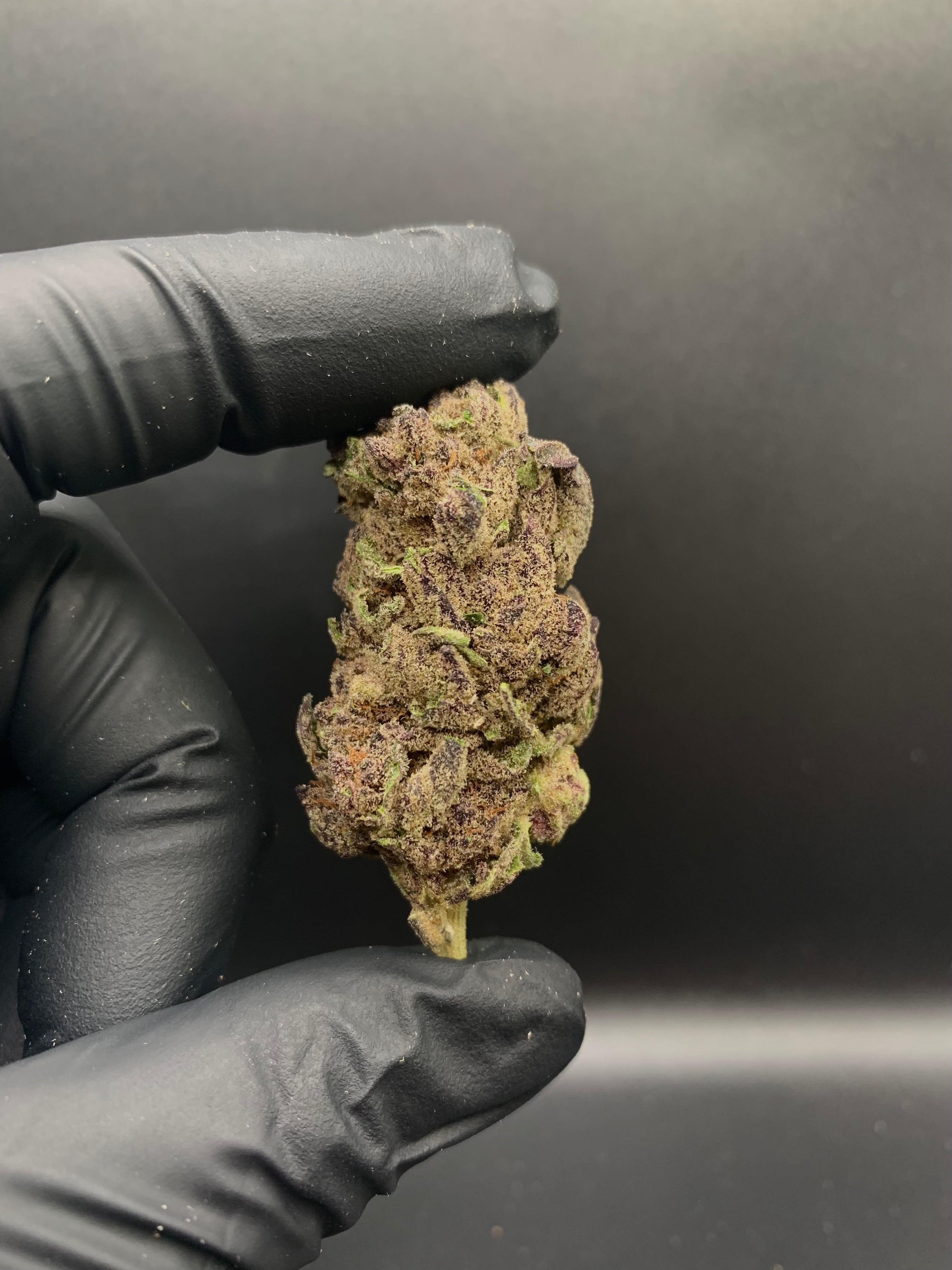 No Drama Lama THCa Flower