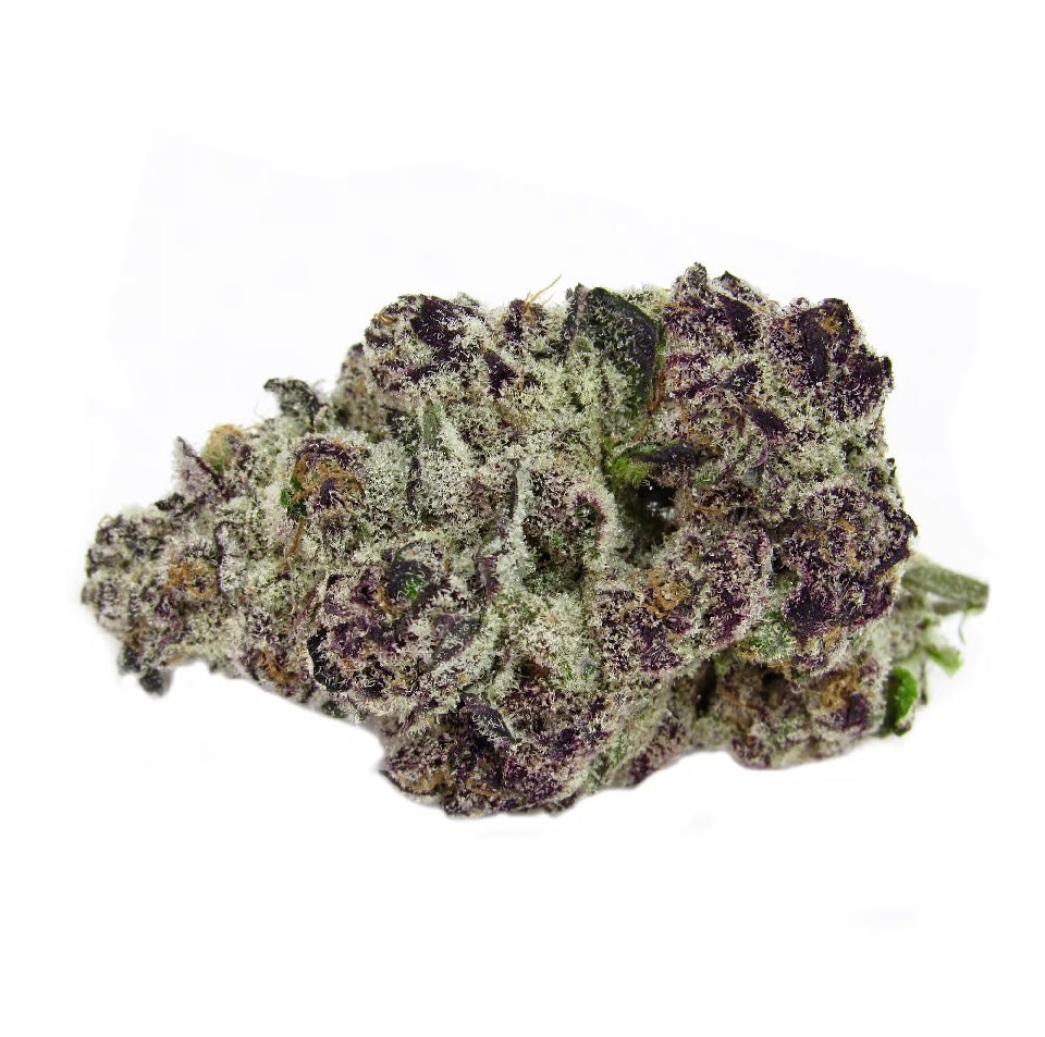 Gorilla Skunk 🦍 🦨