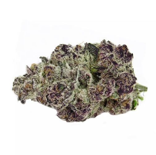 Gorilla Skunk 🦍 🦨
