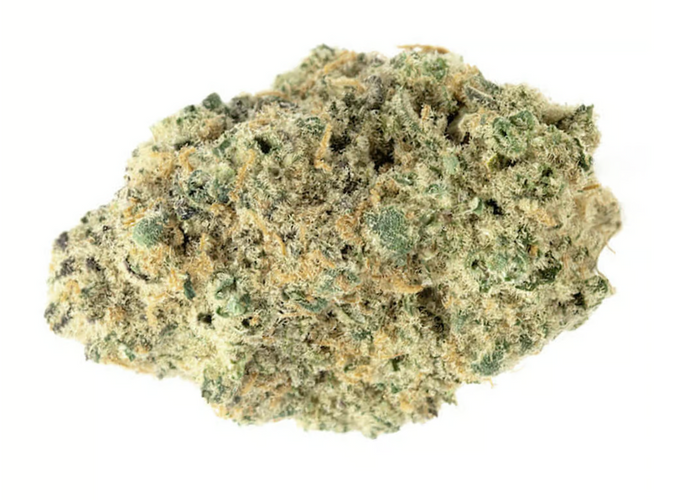 Mimosa