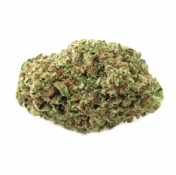 Papaya Punch 🥊