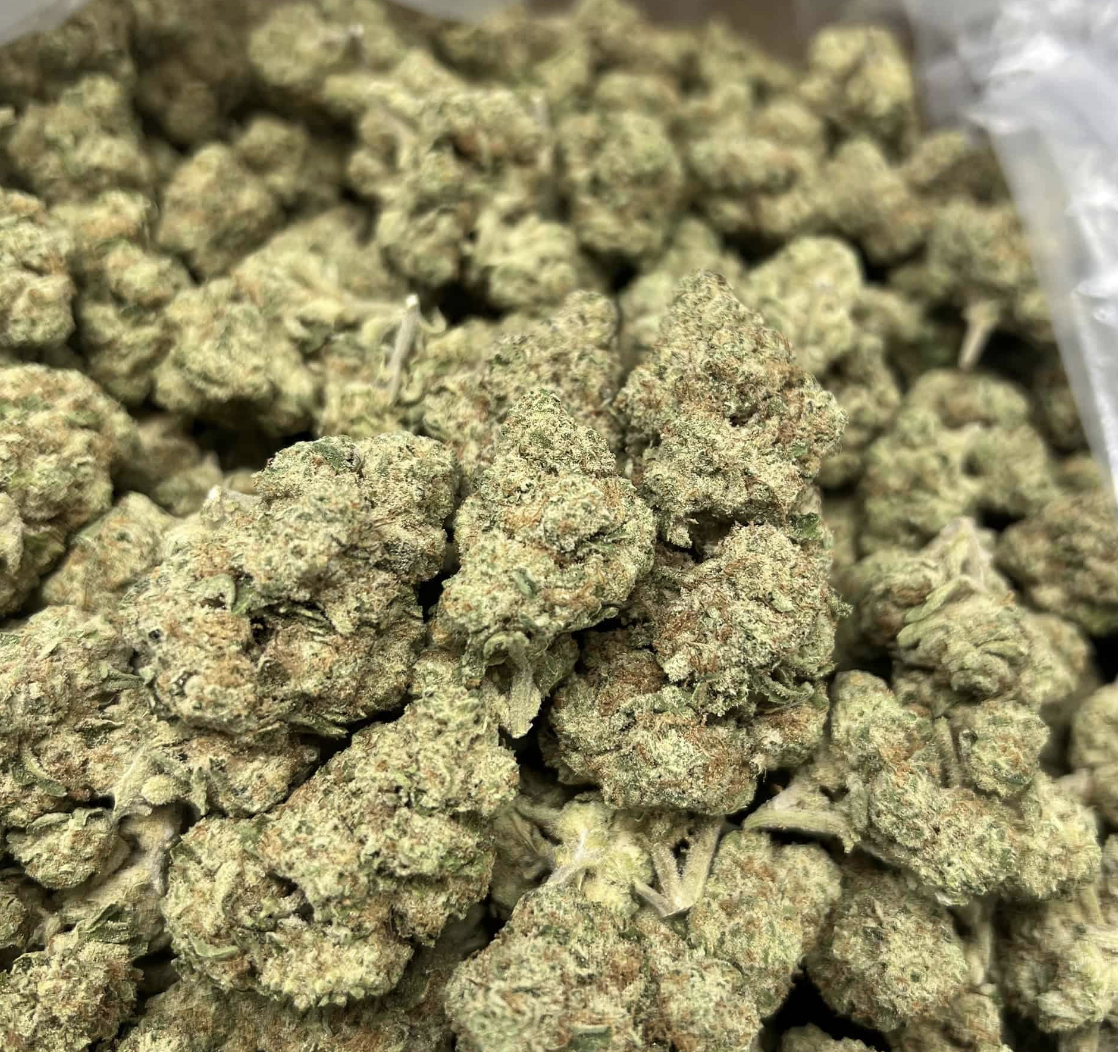 Mimosa